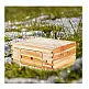 Ξύλινος Όροφος Κυψέλης με 10 Πλαίσια 503 x 414 x 245 mm VEVOR CTFXSMSHX1109SC61V0 Ξύλινος Όροφος Κυψέλης με 10 Πλαίσια 503 x 414 x 245 mm VEVOR CTFXSMSHX1109SC61V0