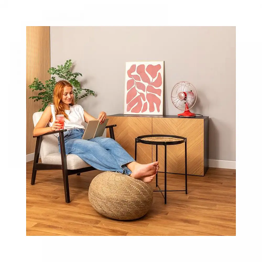 Επιτραπέζιος Ανεμιστήρας 40 W EnergySilence 1090 RetroDesk Design Cecotec CEC-08219