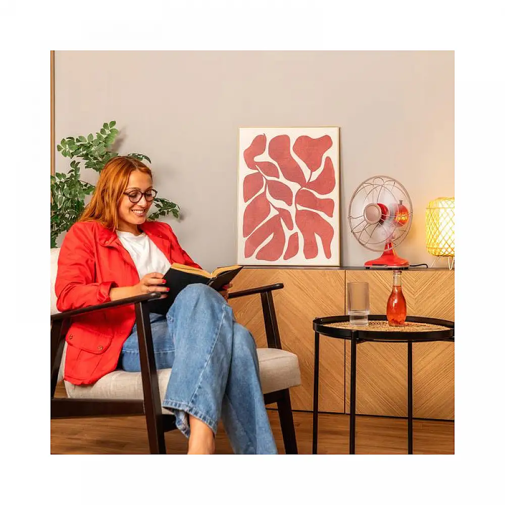 Επιτραπέζιος Ανεμιστήρας 40 W EnergySilence 1090 RetroDesk Design Cecotec CEC-08219