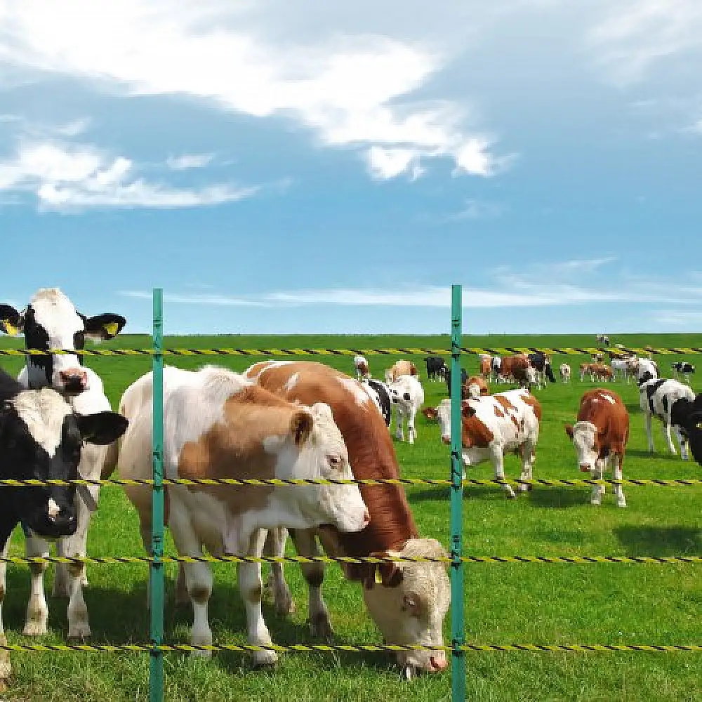 VEVOR 3366Ft 1026M Ηλεκτρικό Σύρμα Περίφραξης Πολυσύρμα για Άλογα και Ζώα  WLDXJSKJSK333Z33CY3