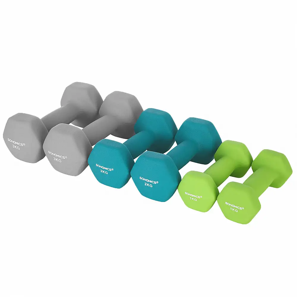 SONGMICS Σετ 6 τμχ Εξάγωνων Αλτήρων 1kg, 2kg, 3kg με Βάση σε Λαχανί, Τιρκουάζ και Ανοιχτό Γκρι -SYL612GN 