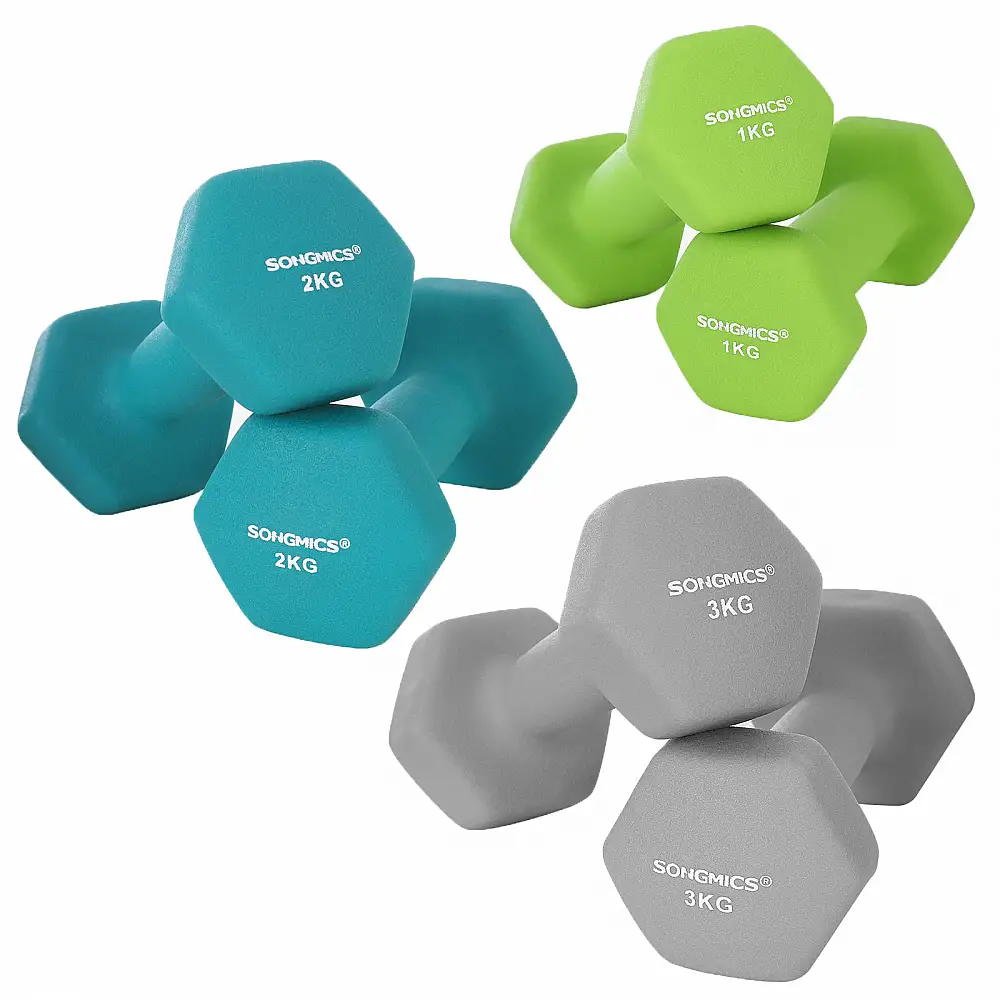 SONGMICS Σετ 6 τμχ Εξάγωνων Αλτήρων 1kg, 2kg, 3kg με Βάση σε Λαχανί, Τιρκουάζ και Ανοιχτό Γκρι -SYL612GN 
