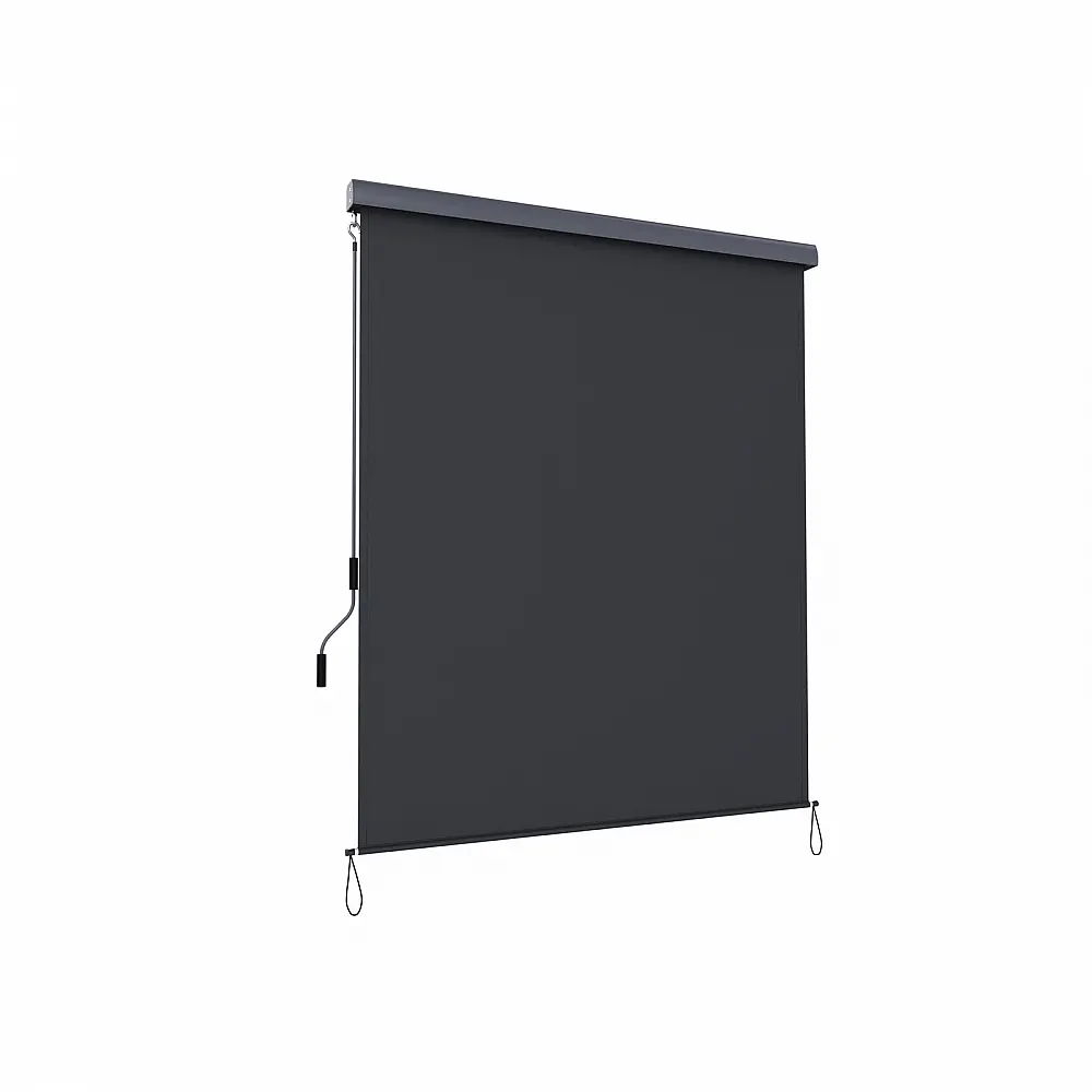 SONGMICS Κάθετο Ρολό Σκίασης-Τέντα 2.5 x 1.6 m. με αναδιπλούμενη κασέτα Γκρι, ,GSA165GY 