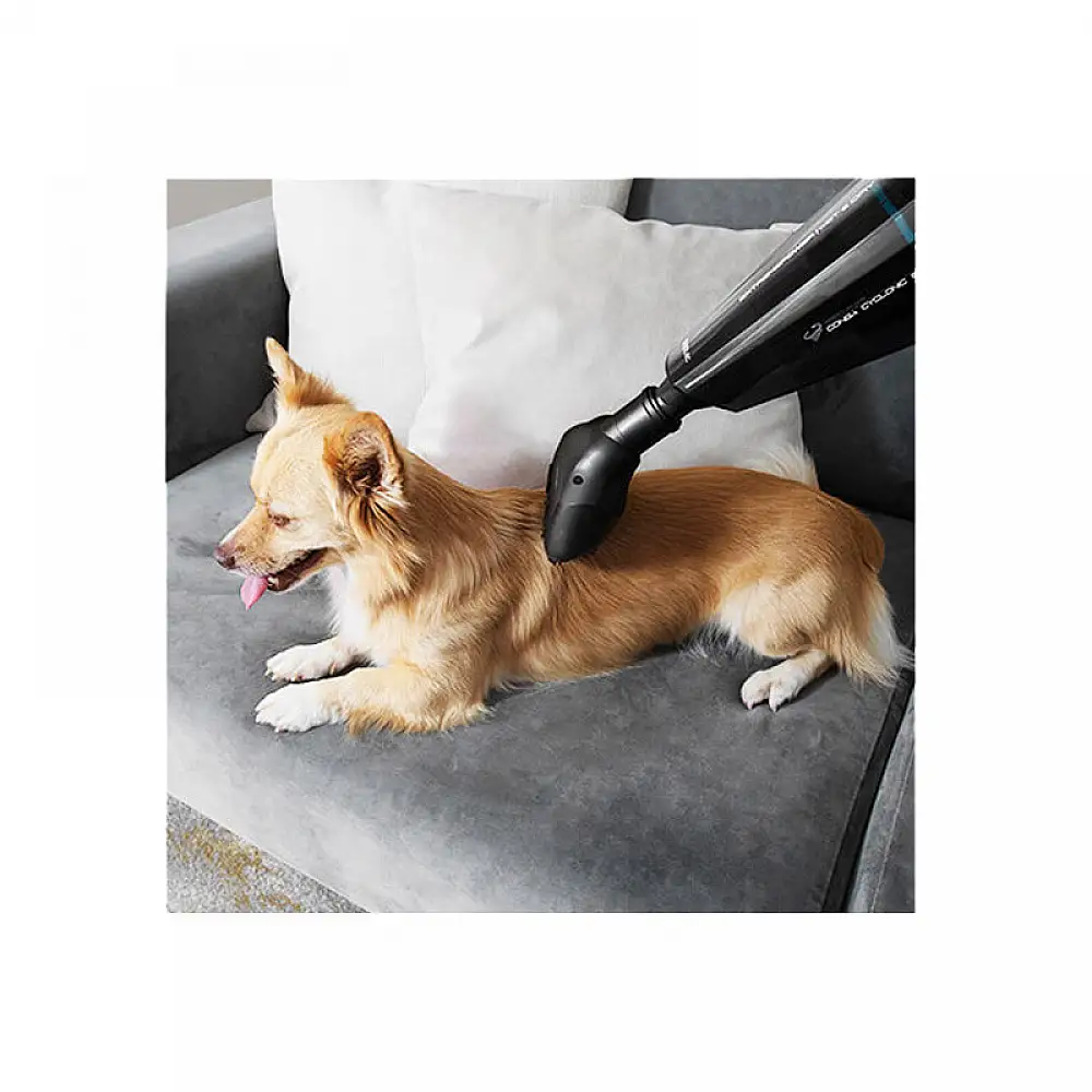 Ηλεκτρικό Σκουπάκι για Στερεά και Υγρά 22.2 V Cecotec Conga Immortal ExtremeSuction Animal Hand CEC-05441