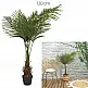Τεχνητό Φυτό Φοίνικας 120 cm HD0452 Home Deco Factory