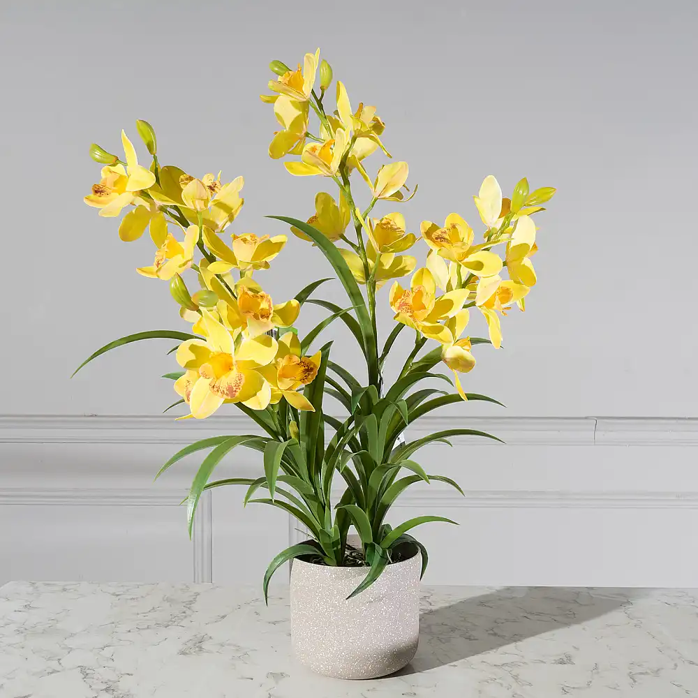 Supergreens Τεχνητό Φυτό Ορχιδέα "Cymbidium Orchid" Κίτρινο 80 εκ.