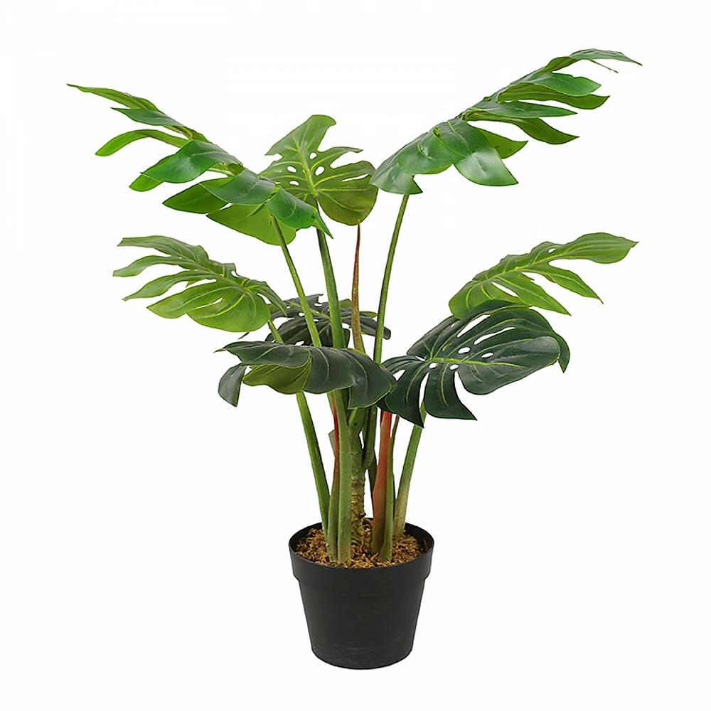 Supergreens Τεχνητό Φυτό Μονστέρα Deliciosa "Tropic" Πράσινο 80 εκ.