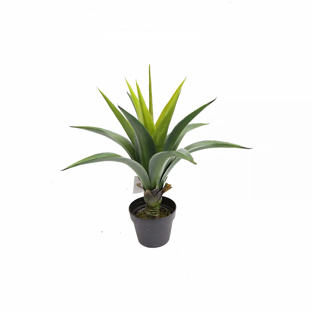 Supergreens Τεχνητό Φυτό Αγαύη "Agave" Πράσινο 66 εκ.