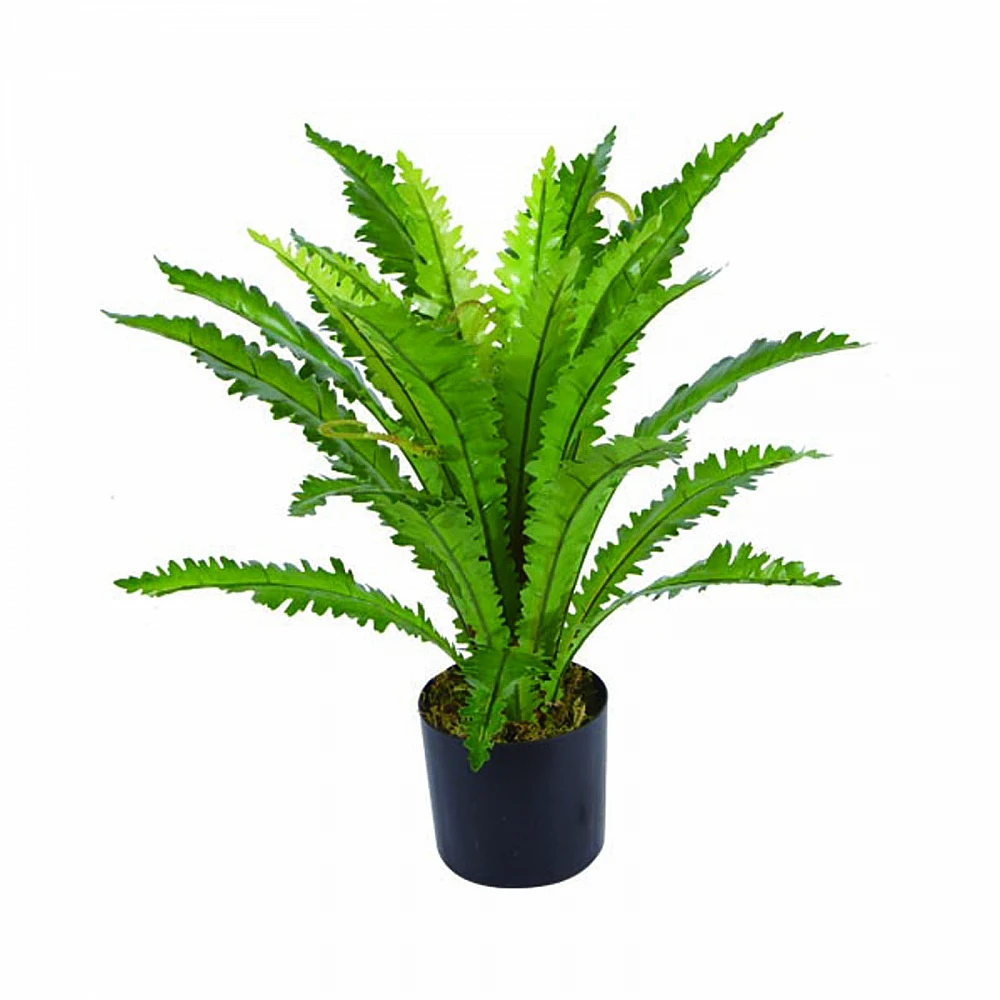 Supergreens Τεχνητό Φυτό Ασπλήνιο Antiquum "Fern" Πράσινο 50 εκ.