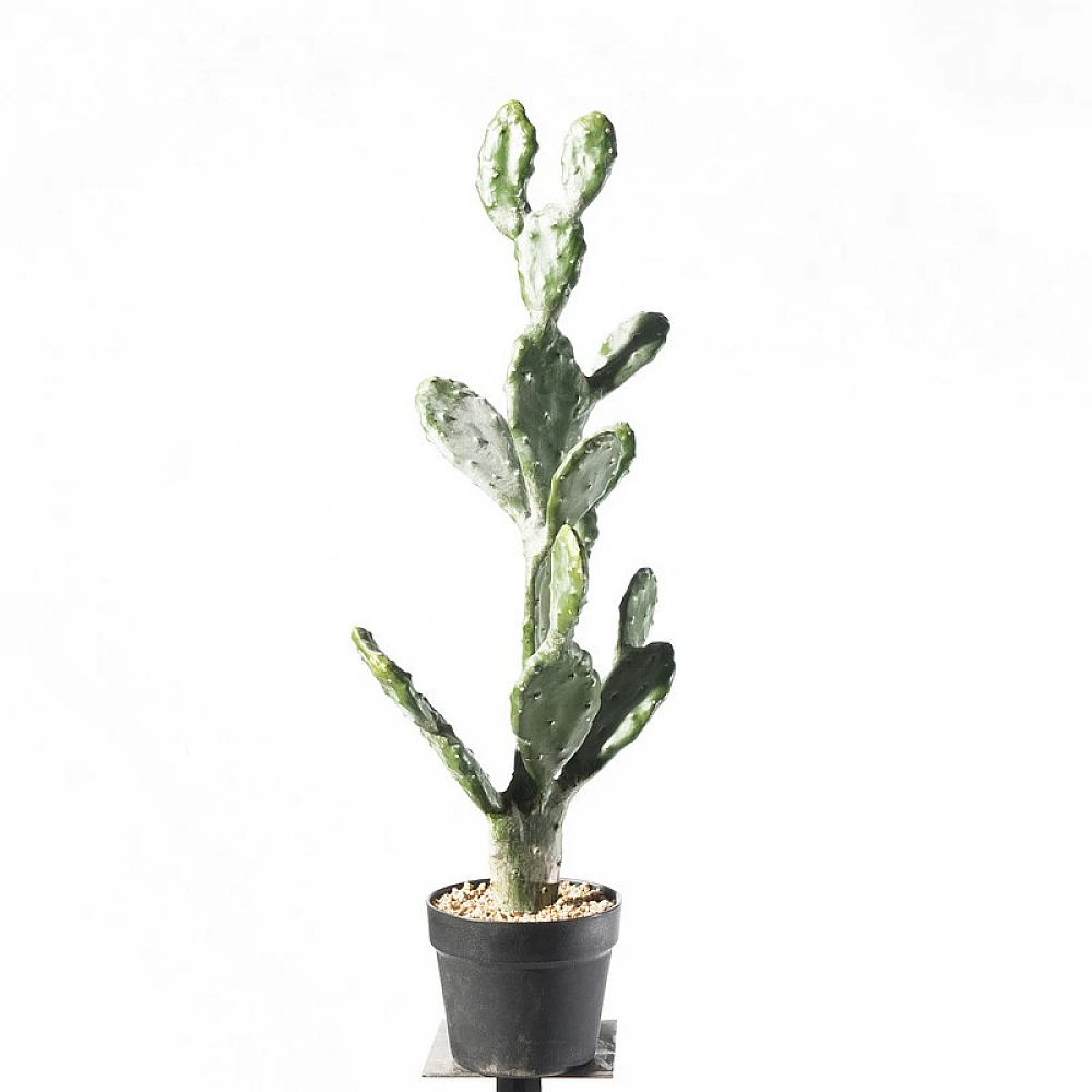 Supergreens Τενητό Φυτό Φραγκοσυκιά "Opuntia" 76 εκ.