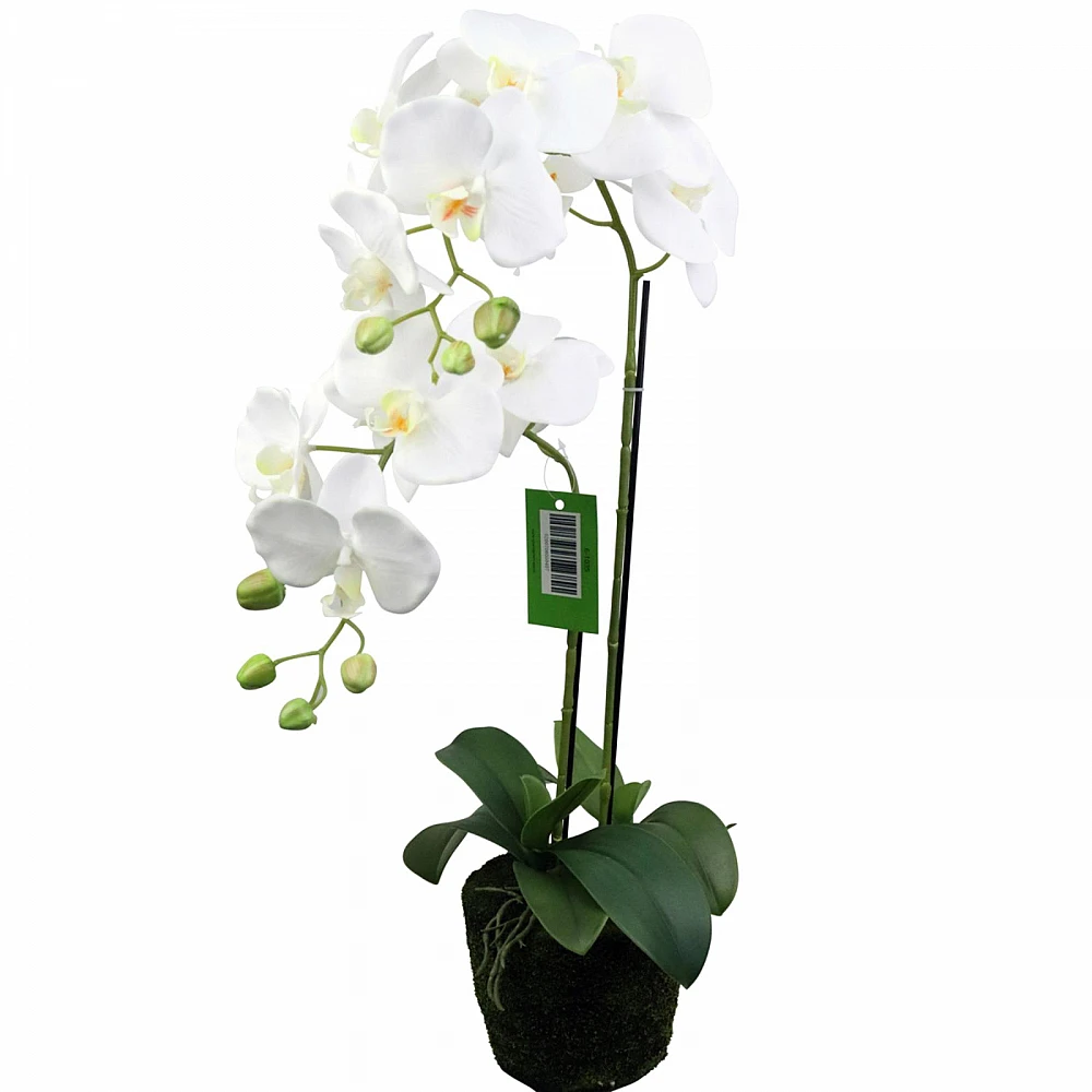 Supergreens Τεχνητό Φυτό Ορχιδέα Phalaenopsis Λευκό 67 εκ.