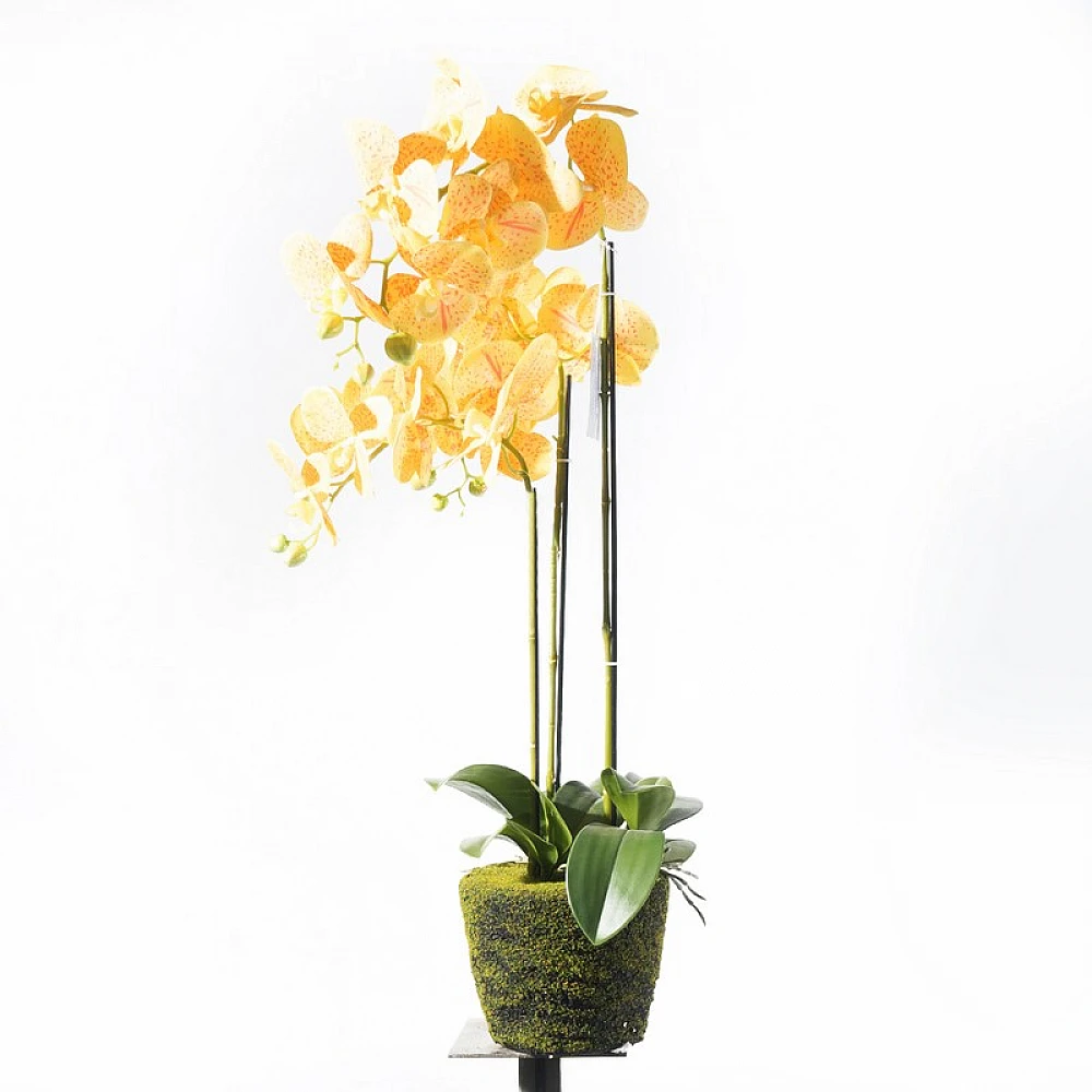 Supergreens Τεχνητό Φυτό Ορχιδέα Phalaenopsis Κίτρινο 80 εκ.