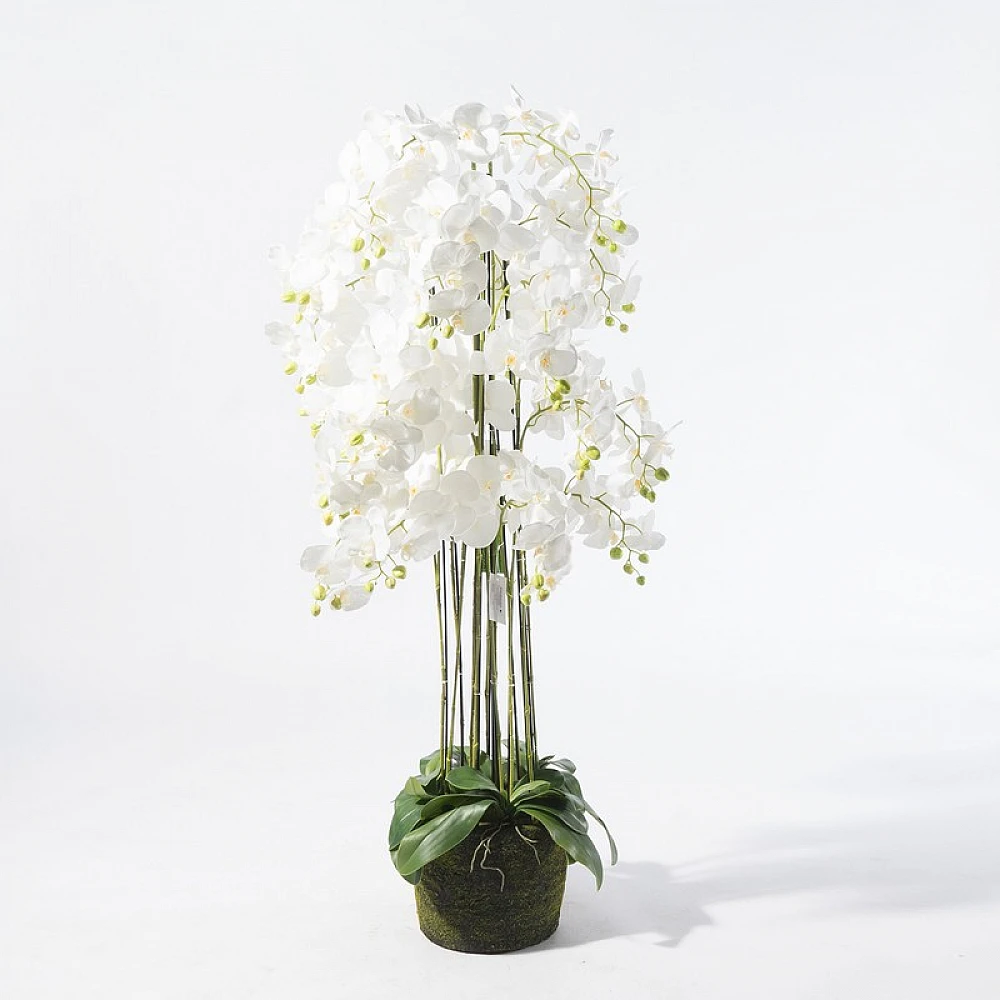 Supergreens Τεχνητό Φυτό Ορχιδέα Phalaenopsis Λευκό 153 εκ.