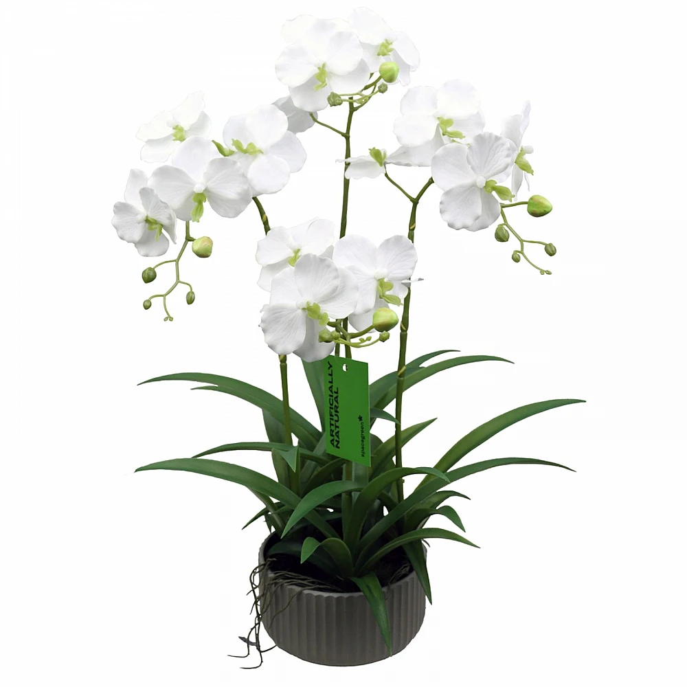 Supergreens Τεχνητό Φυτό Ορχιδέα Phalaenopsis Λευκό 60 εκ.