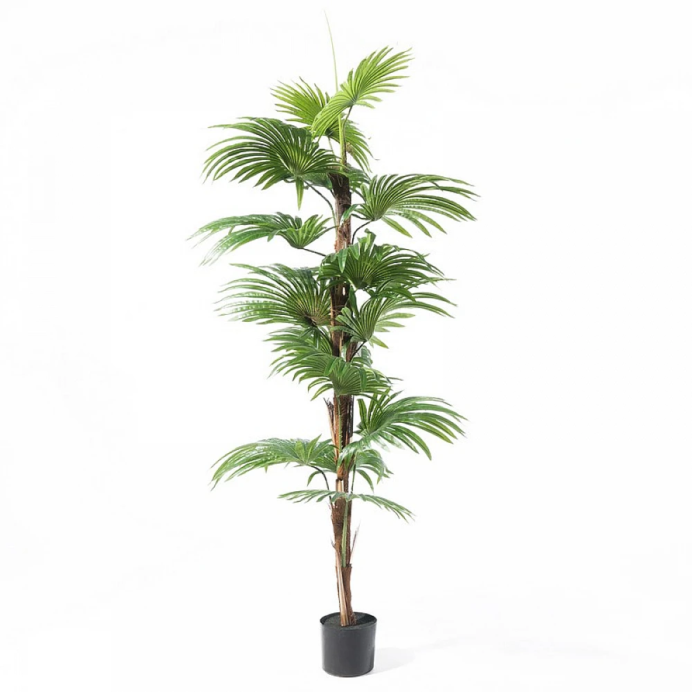 Supergreens Τεχνητό Δέντρο Πιτσάρδια "Washingtonia" Πράσινο 180 εκ.