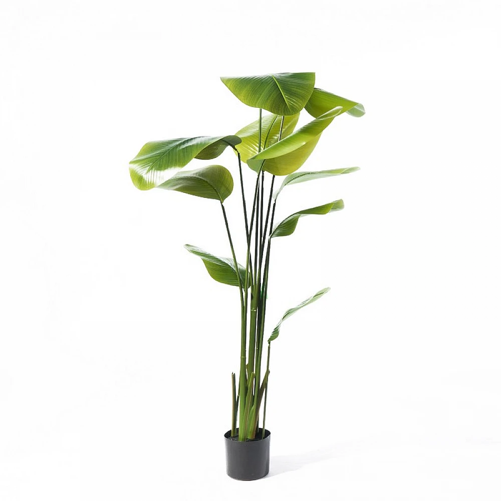 Supergreens Τεχνητό Δέντρο Πουλί του Παραδείσου "Strelitzia Augusta" Πράσινο 180 εκ.