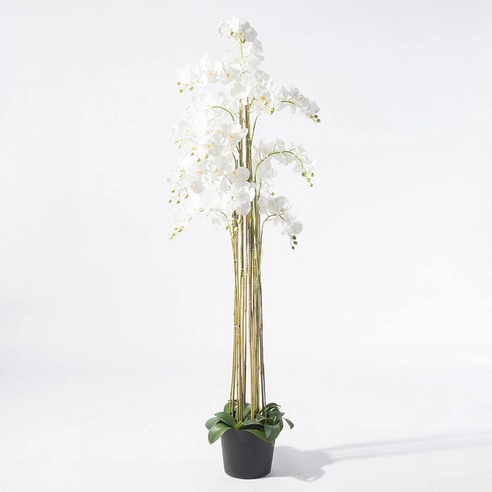 Supergreens Τεχνητό Φυτό Ορχιδέα Phalaenopsis Λευκό 180 εκ.
