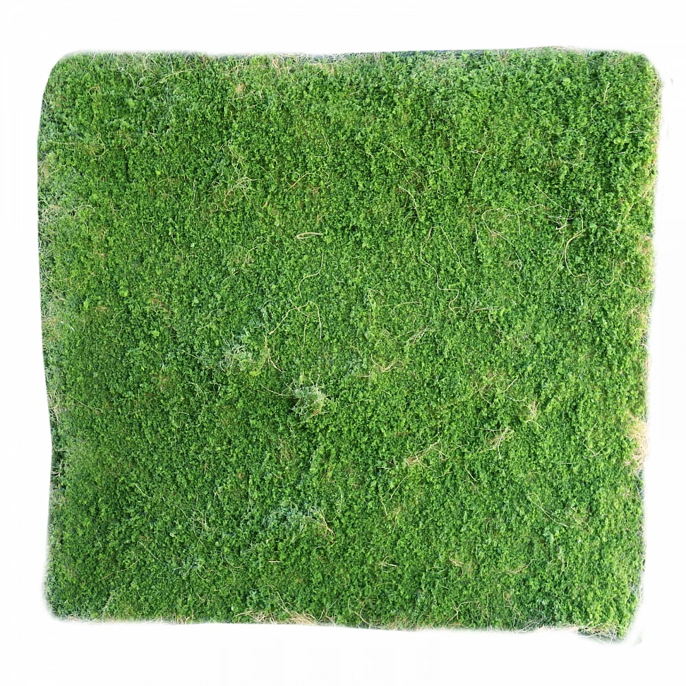 Supergreens Τεχνητή Φυλλωσιά Moss Πράσινη 100x100 εκ.