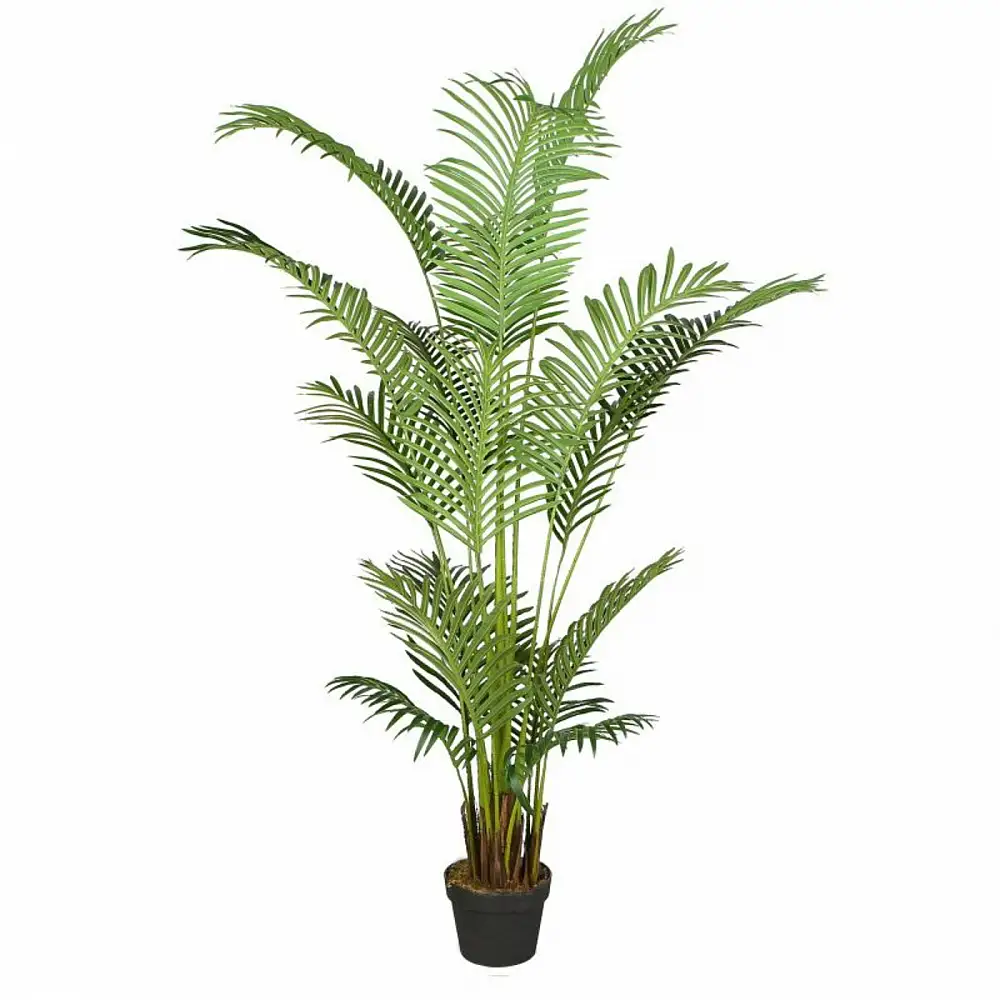 Supergreens Τεχνητό Δέντρο Αρέκα Πράσινο 170 εκ.