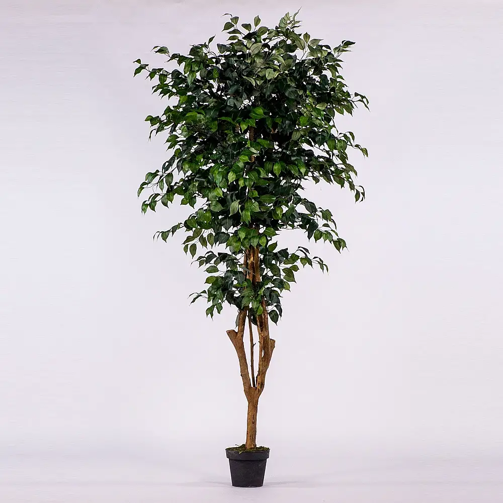 Supergreens Τεχνητό Δέντρο Φίκος Πράσινο 195 εκ.