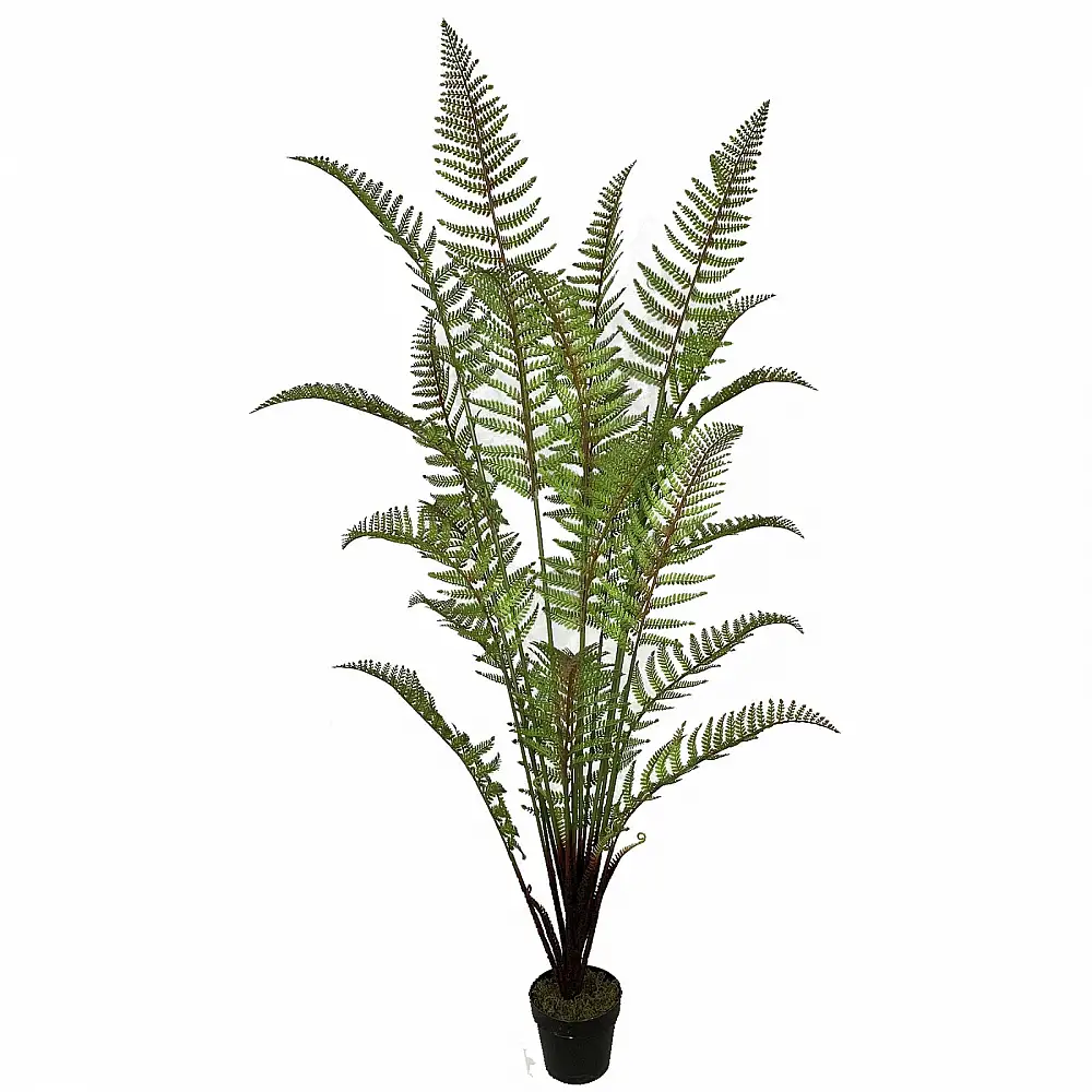 Supergreens Τεχνητό Δέντρο Φτέρη Πράσινο 180 εκ.