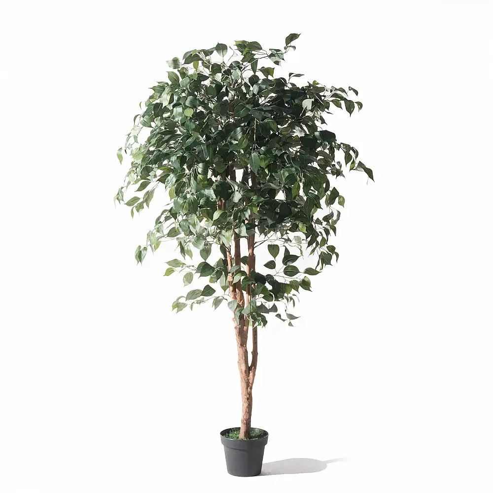 Supergreens Τεχνητό Δέντρο Φίκος Benjamin Πράσινο 165 εκ.