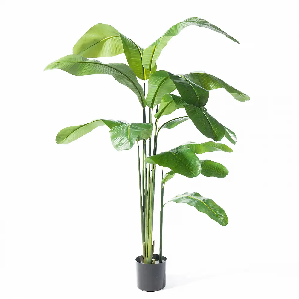 Supergreens Τεχνητο Δέντρο Πουλί του Παραδείσου "Strelitzia Nicolais" Πράσινο 210 εκ.