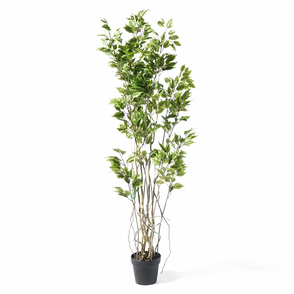 Supergreens Τεχνητό Δέντρο Φίκος "Ginseng" Πράσινο 170 εκ.