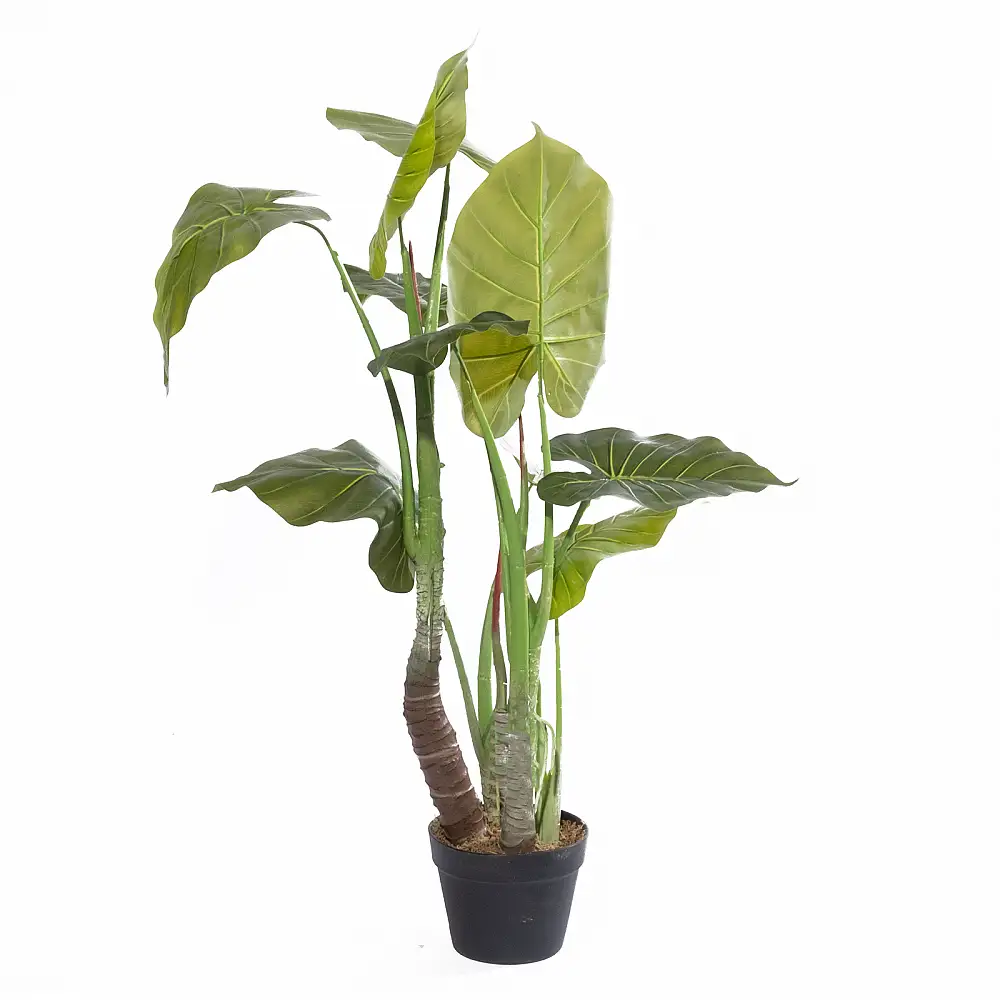 Supergreens Τεχνητό Δέντρο Αλοκάσια "Arrow" Πράσινο 100 εκ.