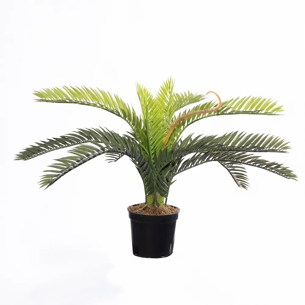 Supergreens Τεχνητό Φυτό Φοινικόθαμνος "Cycas" Πράσινο 25 εκ.