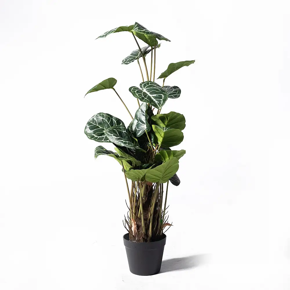 Supergreens Τεχνητό Φυτό Ανθούριο Clarinervium Πράσινο 90 εκ.