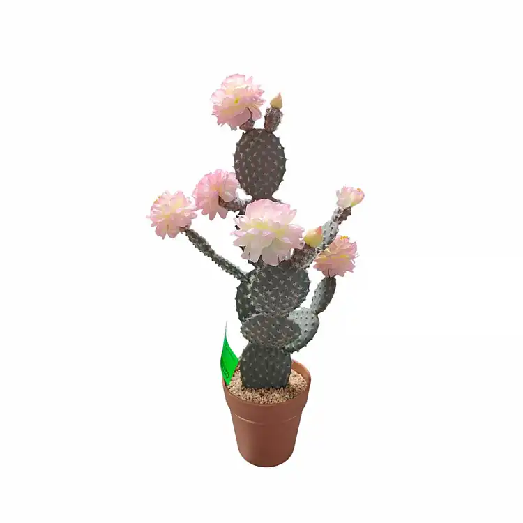 Supergreens Τεχνητό Φυτό Κάκτος "Pink Aura" Ρόζ 57 εκ.