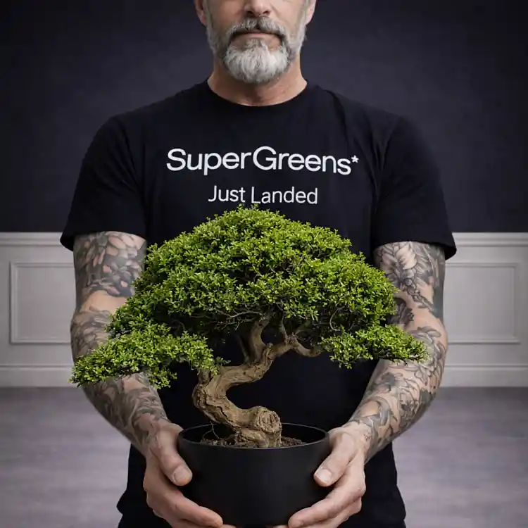 Supergreens Τεχνητό Φυτό Μπονσάι Πεύκο "Mini Zen" Πράσινο 70 εκ.