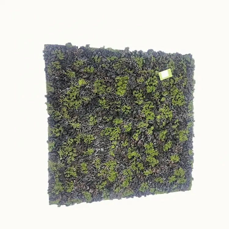 Supergreens Τεχνητή Φυλλωσιά Moss "Gladonia" Πράσινο με Μαύρο 100x100 εκ.