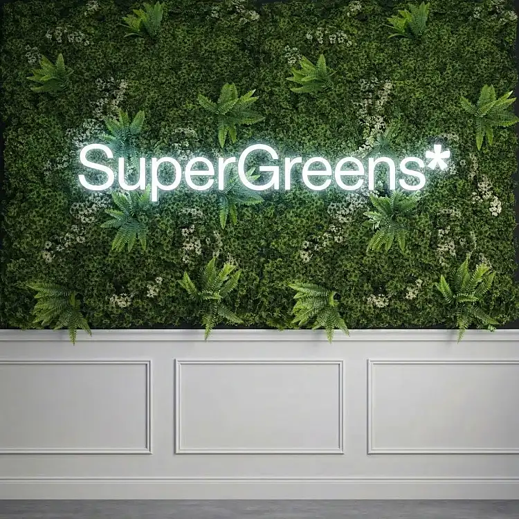 Supergreens Τεχνητή Φυλλωσιά Moss "Silva Luminis" Πράσινη 100x100 εκ.