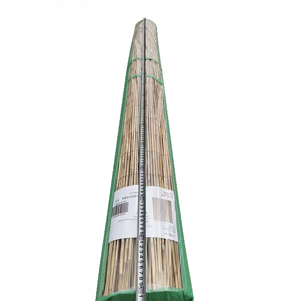 ArteLibre Καλαμωτή ArteLibre ELNICK Με Ολόκληρο Καλάμι 1.5x3m - 14850002 - inde.gr