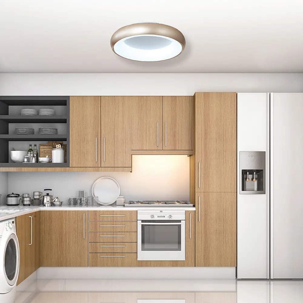InLight Πλαφονιέρα οροφής LED 36W 3CCT (by tuya) από μαύρο και λευκό ακρυλικό D:60W (42020-A-Black) InLight Πλαφονιέρα οροφής LED 36W 3CCT (by tuya) από μαύρο και λευκό ακρυλικό D:60W (42020-A-Black)