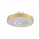 it-Lighting Chilko 36W 3CCT LED Fan Light in Golden Color (101000360) it-Lighting Chilko 36W 3CCT LED Fan Light in Golden Color (101000360)