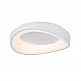 InLight Πλαφονιέρα οροφής LED 72W 3CCT (by tuya) από λευκό μέταλλο και ακρυλικό D:52cm (42033-White) InLight Πλαφονιέρα οροφής LED 72W 3CCT (by tuya) από λευκό μέταλλο και ακρυλικό D:52cm (42033-White)