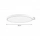 InLight Πλαφονιέρα οροφής LED 50W 3CCT (by switch on base) από λευκό μέταλλο και ακρυλικό D:80cm (42035-A-White) InLight Πλαφονιέρα οροφής LED 50W 3CCT (by switch on base) από λευκό μέταλλο και ακρυλικό D:80cm (42035-A-White)