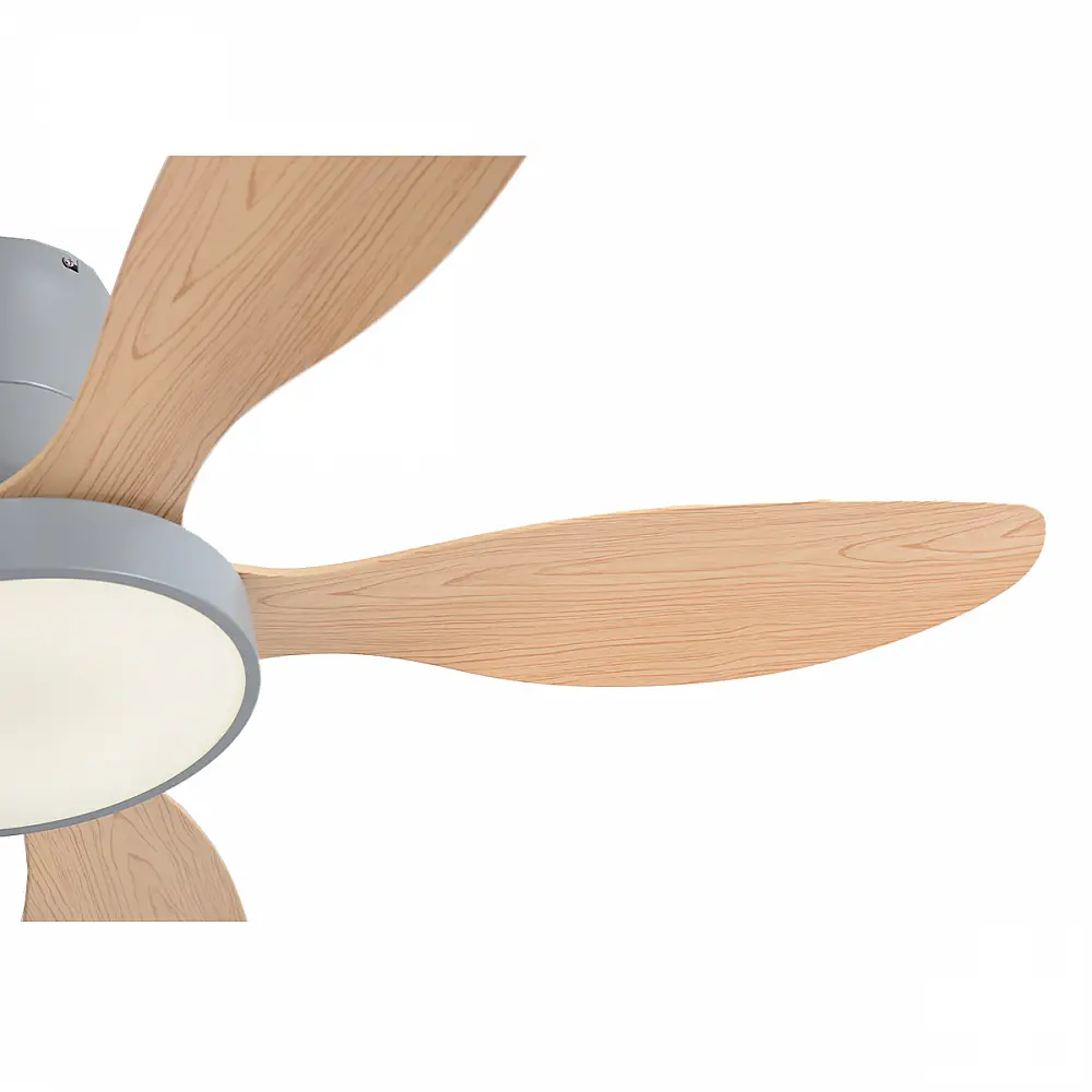 it-Lighting Denali 24W 3CCT LED Fan Light in Grey and wooden Color (102000730) it-Lighting Denali 24W 3CCT LED Fan Light in Grey and wooden Color (102000730)