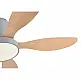 it-Lighting Denali 24W 3CCT LED Fan Light in Grey and wooden Color (102000730) it-Lighting Denali 24W 3CCT LED Fan Light in Grey and wooden Color (102000730)