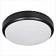 it-Lighting Echo LED 15W 3CCT Outdoor Ceiling Light Anthracite D:21cmx6cm (80300240) it-Lighting Echo LED 15W 3CCT Outdoor Ceiling Light Anthracite D:21cmx6cm (80300240)