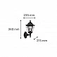 it-Lighting Redfish 1xE27 Outdoor Wall Lamp Black D:36cmx23.5cm (80202614) it-Lighting Redfish 1xE27 Outdoor Wall Lamp Black D:36cmx23.5cm (80202614)