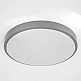 it-Lighting Torch LED 18W 3CCT Outdoor Ceiling Light Grey D:28cmx5,3cm (80300330) it-Lighting Torch LED 18W 3CCT Outdoor Ceiling Light Grey D:28cmx5,3cm (80300330)