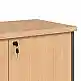Ντουλάπι γραφείου χαμηλό επαγγελματικό Fesialo pakoworld φυσικό-ανθρακί 80x41x80εκ