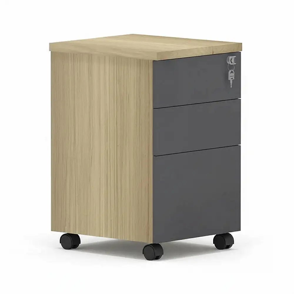 Συρταριέρα επαγγελματική τροχήλατη Lotus pakoworld 3ων συρταριών σε φυσική-ανθρακί απόχρωση 40x44x61εκ