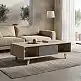 Τραπέζι σαλονιού Elonza pakoworld sonoma-ανθρακί 120x60x36εκ