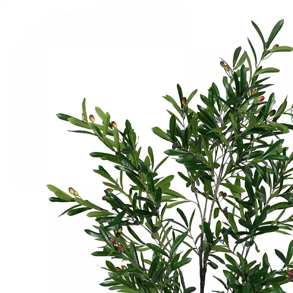 Διακοσμητικό φυτό Olive tree I σε γλάστρα Inart πράσινο pp Υ150εκ