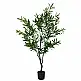 Διακοσμητικό φυτό Olive tree I σε γλάστρα Inart πράσινο pp Υ150εκ